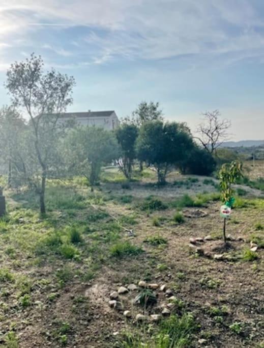 Masia Entre Vinedos Y Mar Holiday home