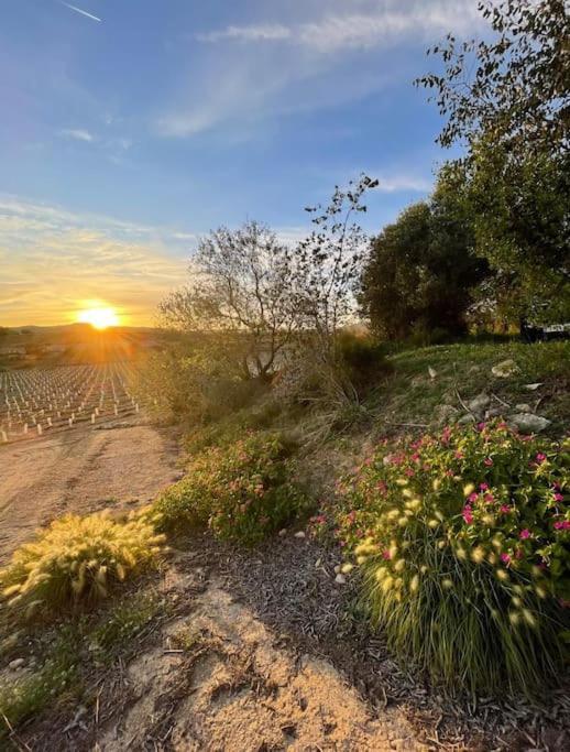 Masia Entre Vinedos Y Mar Holiday home *