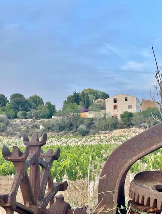 Masia Entre Vinedos Y Mar * Saifores