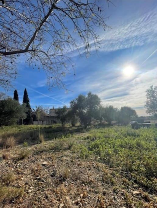 Masia Entre Vinedos Y Mar